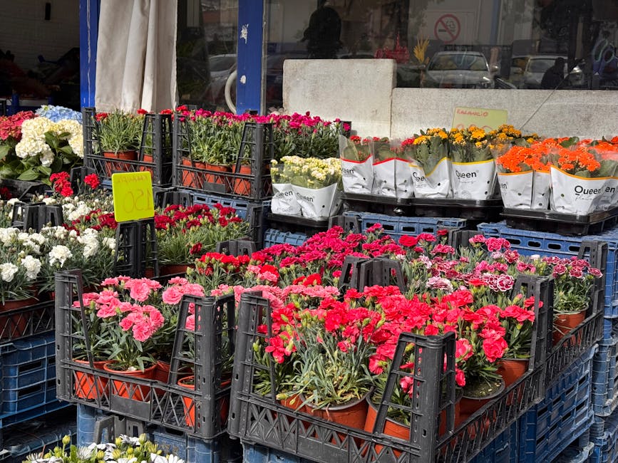 A display of potted flowering plants arranged on black plastic crates outside a flower shop. The arrangement includes vibrant pink, red, orange, yellow, white, and purple blooms, primarily carnations 